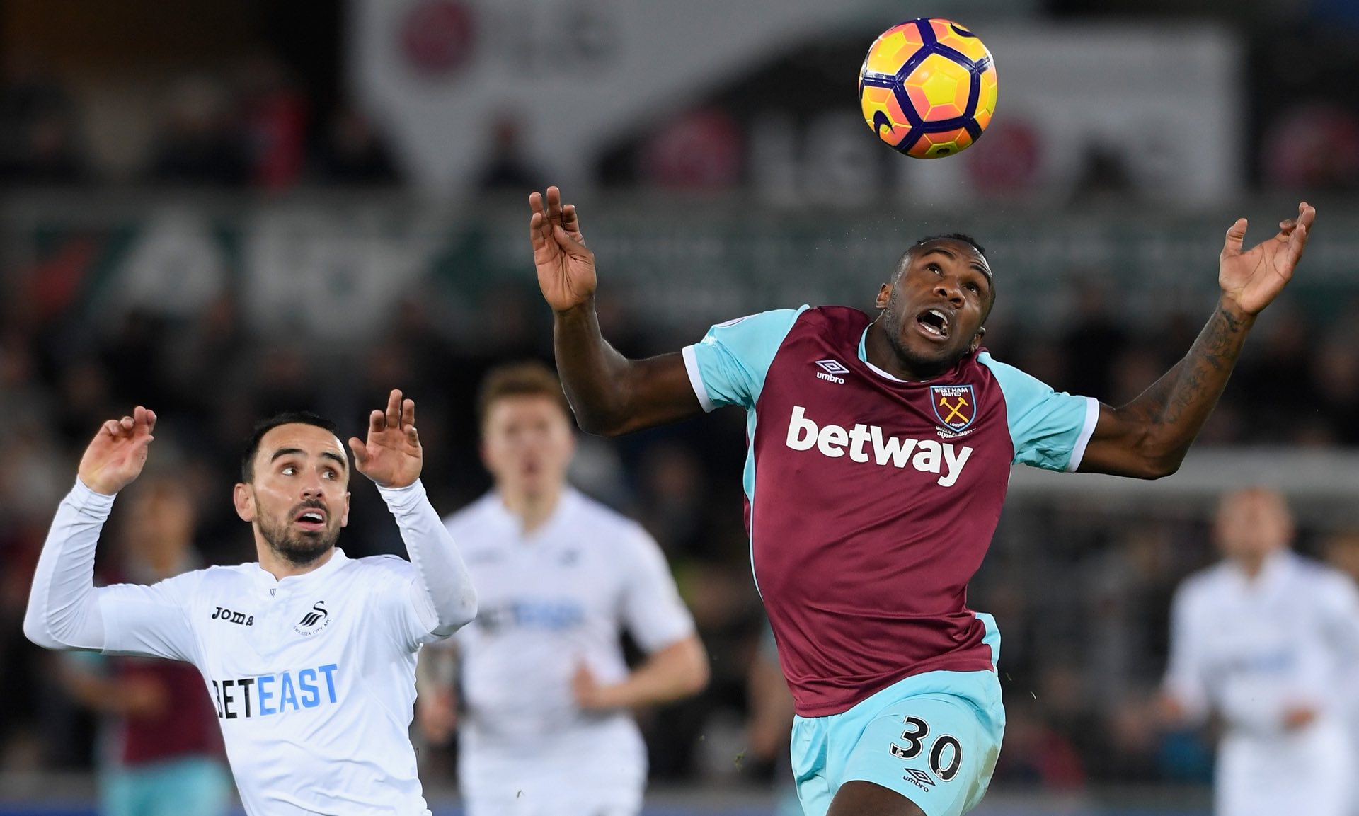 这意味着持 这意味着持